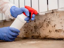 Best Mold Prevention Services  in Hialeah Gardens, FL